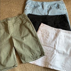 Chadwicks Shorts & Skorts Lot Size 16